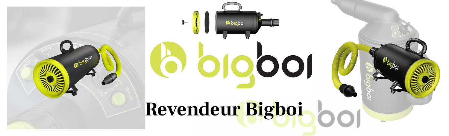 Souffleur d'air chaud filtré BigBoi BlowR Mini pour un séchage automobile sécurisé et sans traces de calcaire