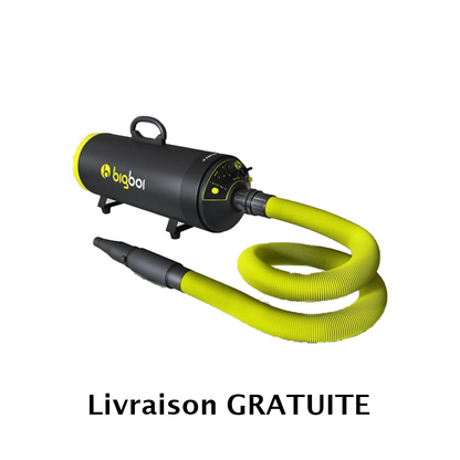 Sécheur sans contact Bigboi BlowR MINI+ 2 moteurs pour les professionnels du Detailing et plus largement pour tous les passionnés automobile.  Le Bigboi BlowR MINI+ est positionné dans la gamme entre le Bigboi Mini et le Bigboi Pro . Le BigBoi Mini+ est l